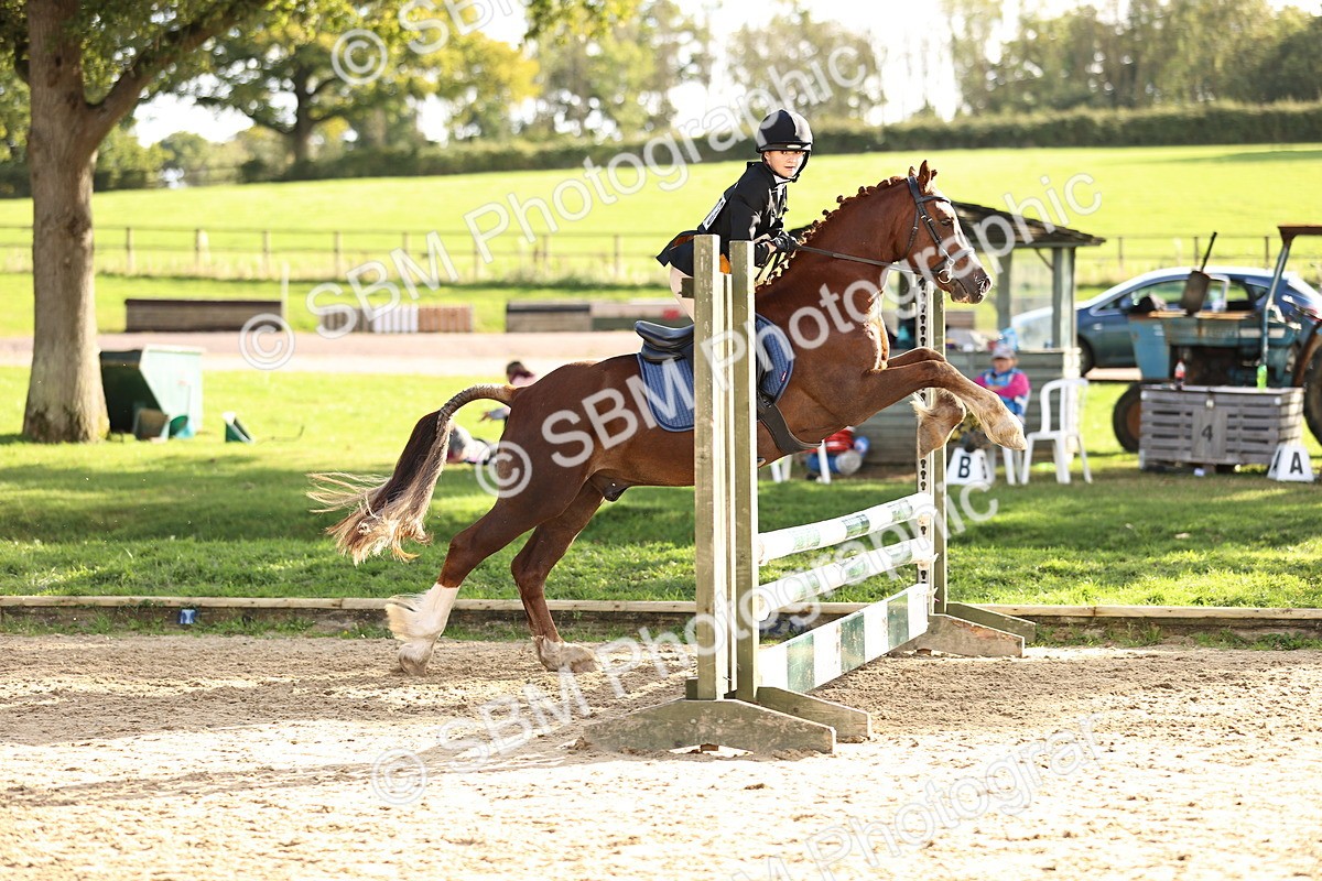 SBM_51455 - J10 - Junior Pony 75cm Championship