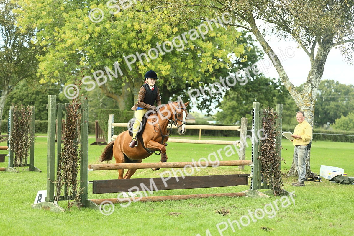 SBM_44646 - S31 - Working Hunter Pony