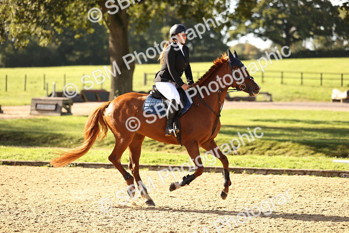 SBM_35239 - J38 - Senior 80cm Championship