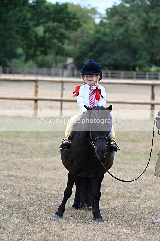 WJ7_8606 - Class 4 Prettiest Mare up to 14.2hh
