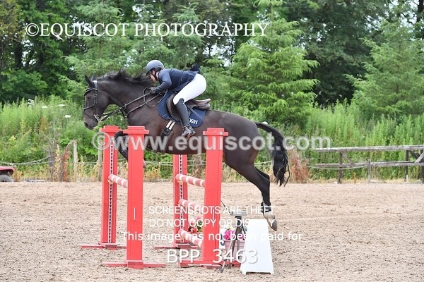 BPP_3463 - CLASS 17 SUN Newcomers/ 1.10m