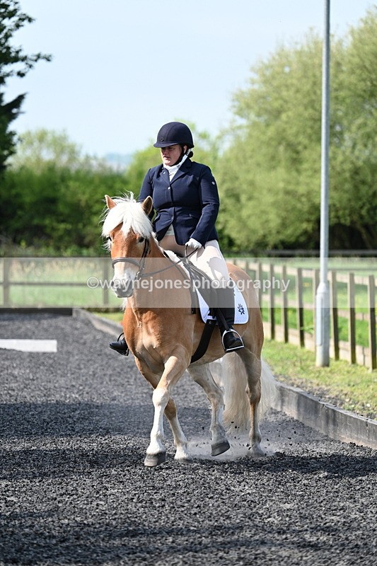 WJ7_7978 - Time 10:11 to 10:27