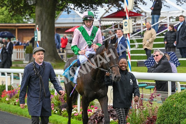 130724-Race 2-Starlust-7126 - Race 2 2.35pm John Smith's City Walls Stakes