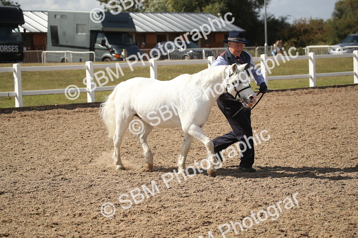 SBM_23517 - Class 605 - 2026 - Area - IH Veteran