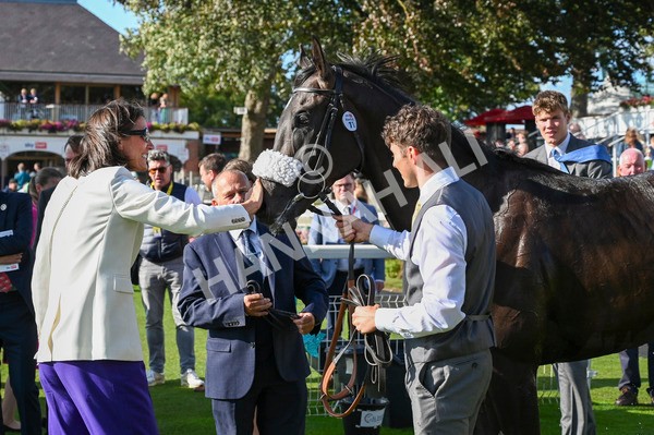 240824-Race 6-Tropical Storm-1680 - Race 6 4.45pm Julia Graves Roses Stakes