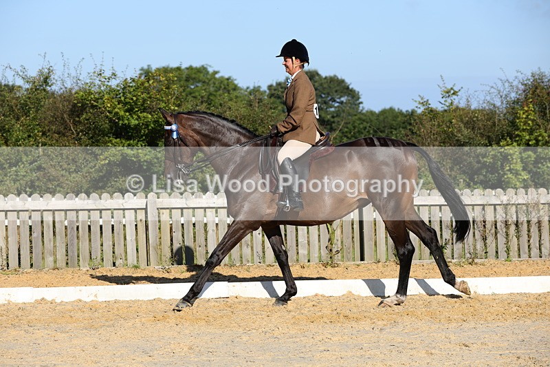 1X9A7584 - Class 7: Novice Ridden Hunter/Hack/Cob/Riding Horse