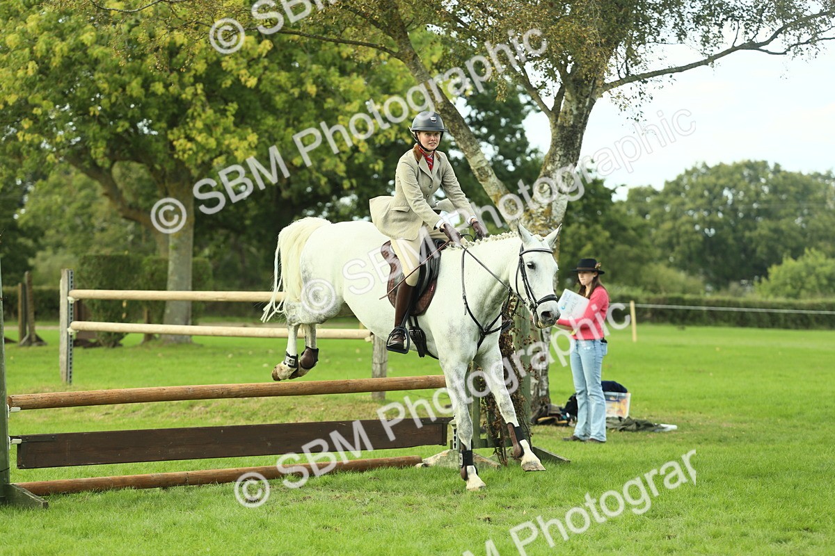 SBM_47994 - S32 - Novice & Newcomers Working Hunter