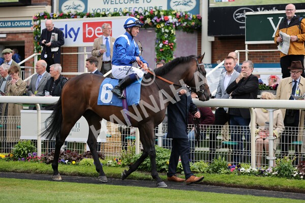 yr11052022r3-11 - Race 3 3.00pm 1895 Duke of York Clipper Logistics Stakes