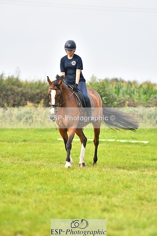 230817-090219-02462 - Abbie's 1st Group - Dressage