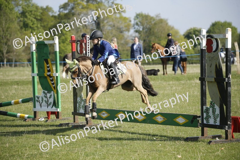 20250427-0363 - Class 12 - Rookie Jumping 40cm