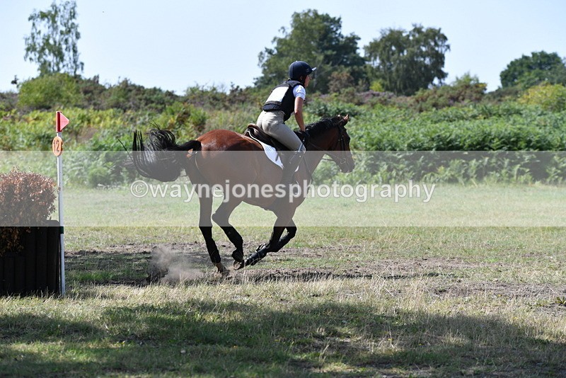 WJ5_2948 - XC Time 12:35 to 12:59