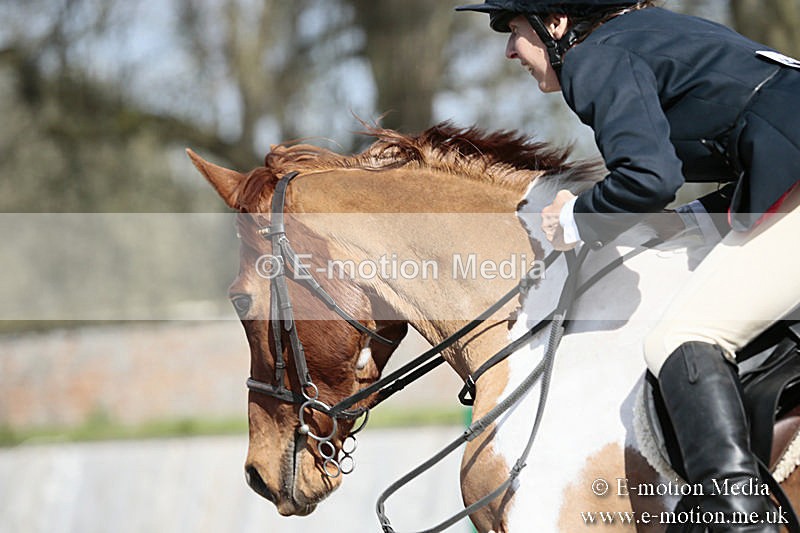 BVRC SJ 170319 565 - Bourne Valley Riding Club Showjumping 17/03/19