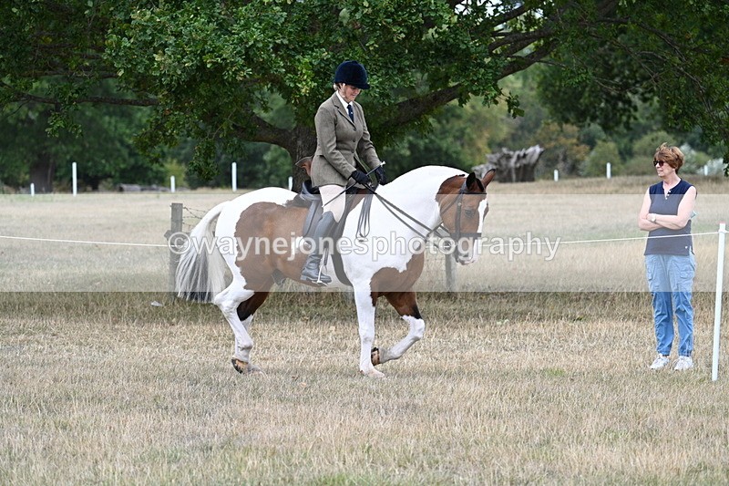 WJ7_4831 - Class 12 Ridden Cob