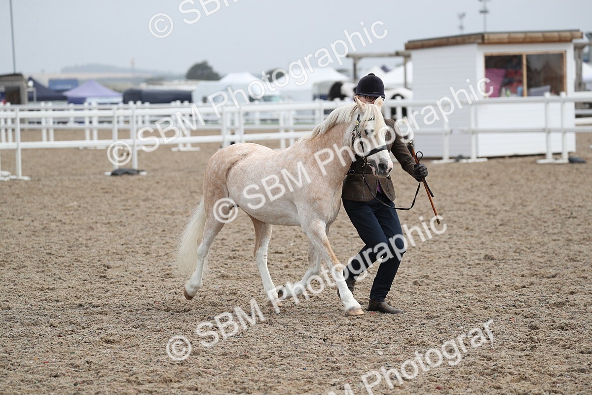 SBM_22551 - Class 604 - 2025 Area - IH Diamond