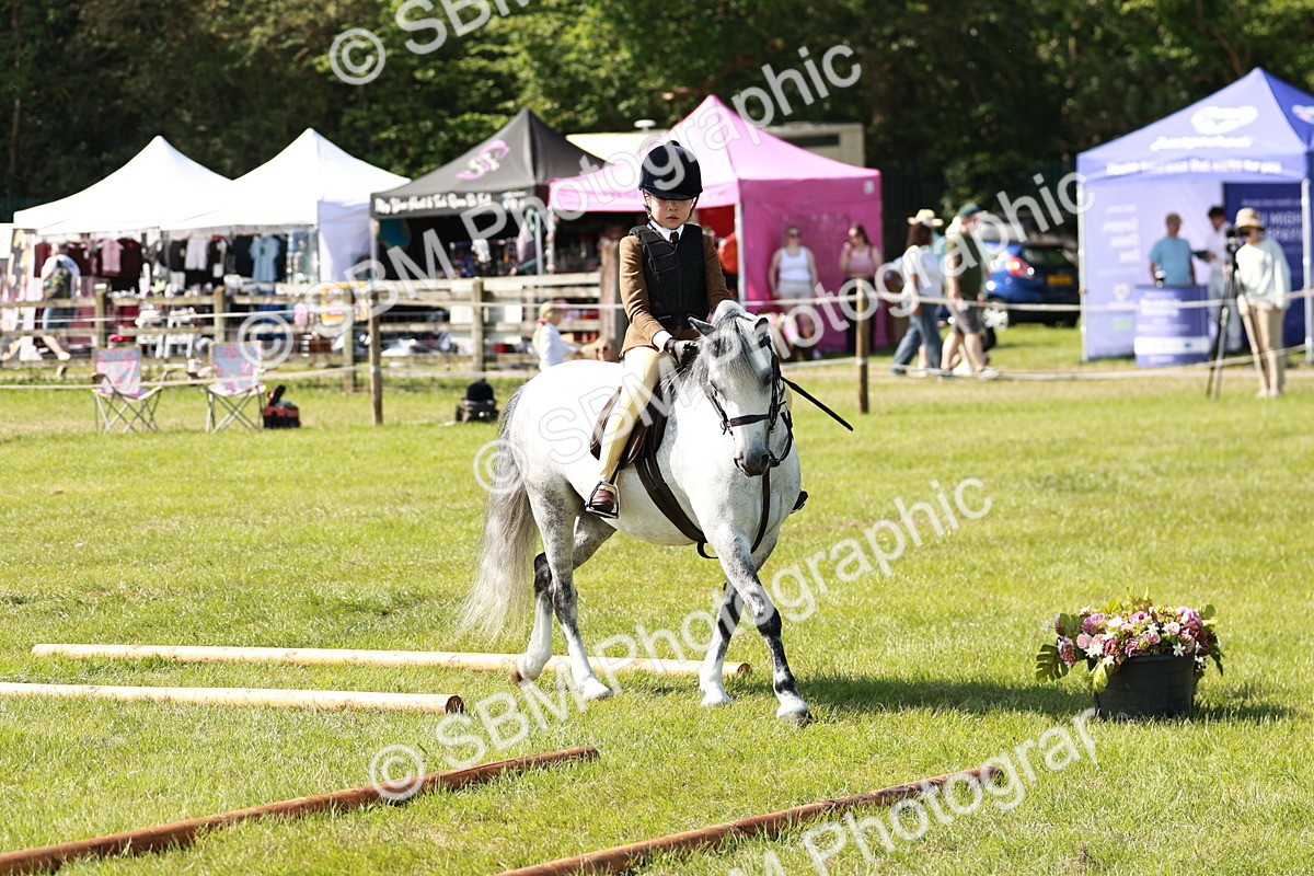 SBM_12712 - Class 106-107 - BSPS LIHS Working Sports Pony
