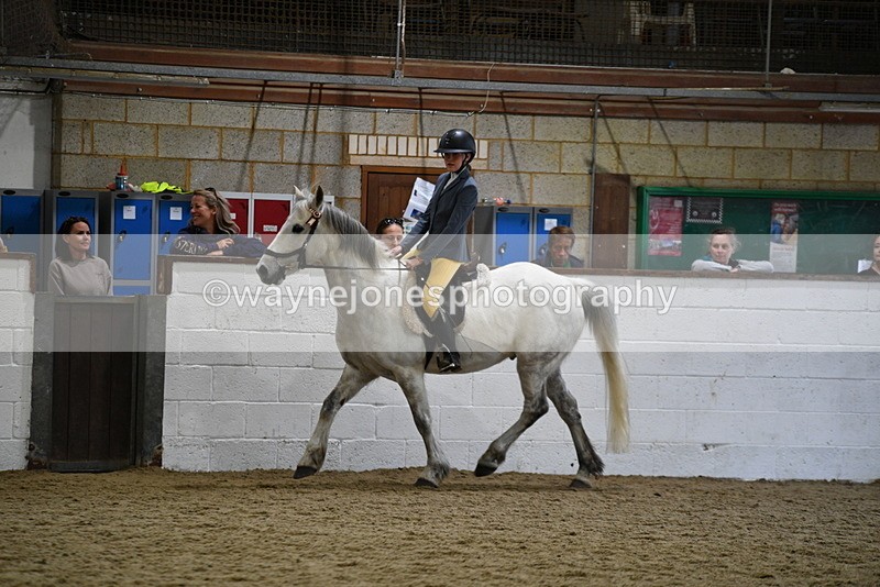 WJ5_7909 - Class 13 Ridden Part Breed