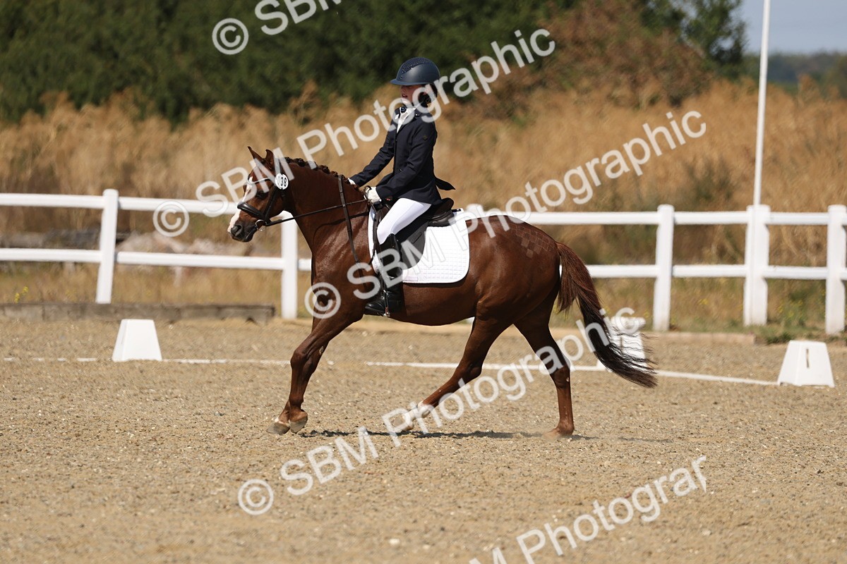 SBM_013722 - Class 1 - P5 Bronze 10.38.12.02