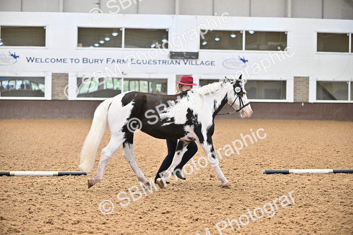 SBM_000281 - Class 10 - In Hand Coloured & Odd Coloured