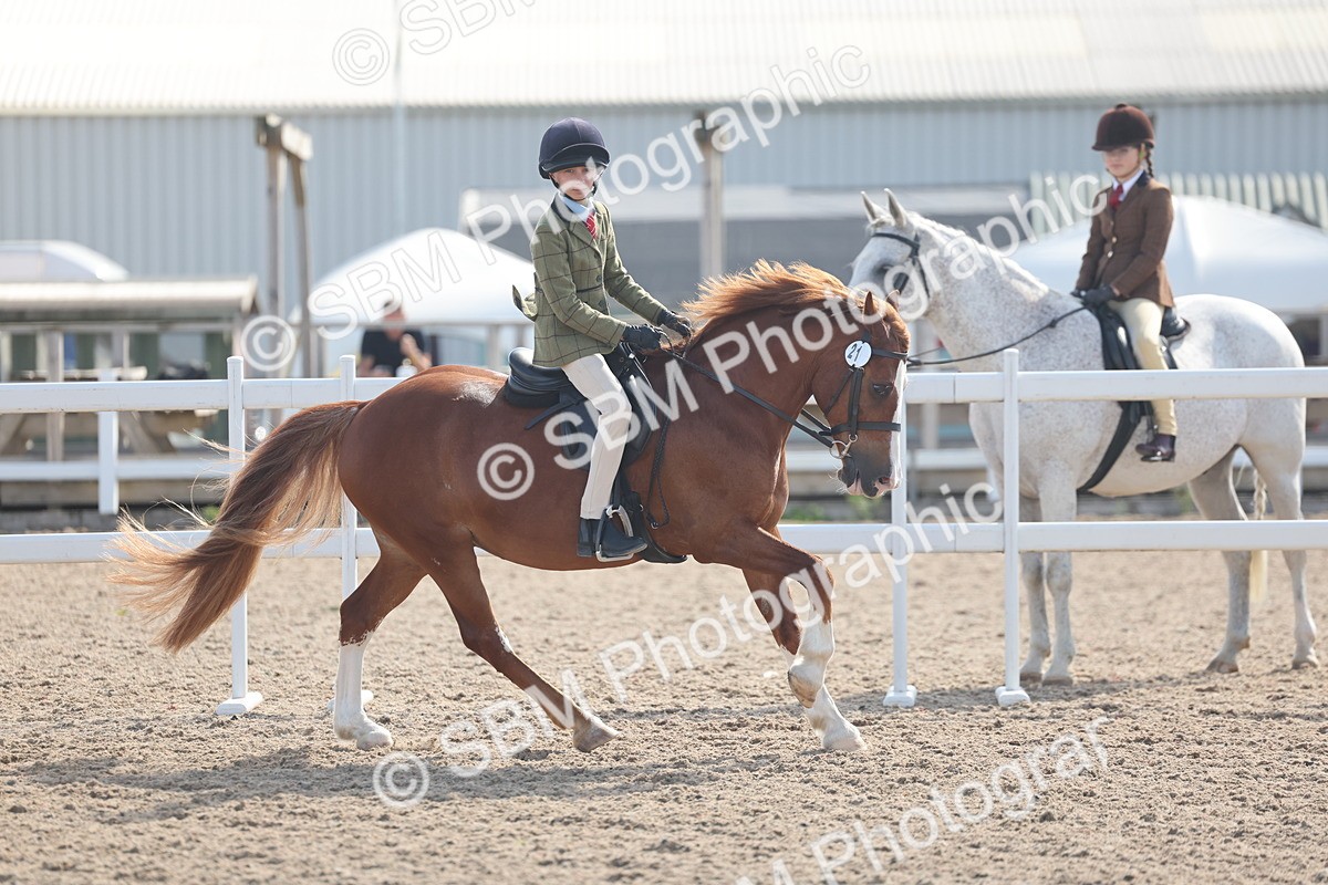 SBM_23081 - Class 806 - Young Rider 10ry and Under