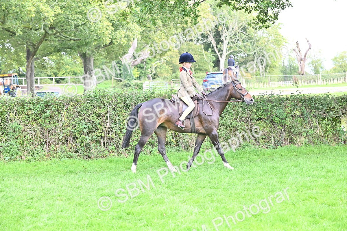 SBM_44486 - S13 - Pony Club Pony