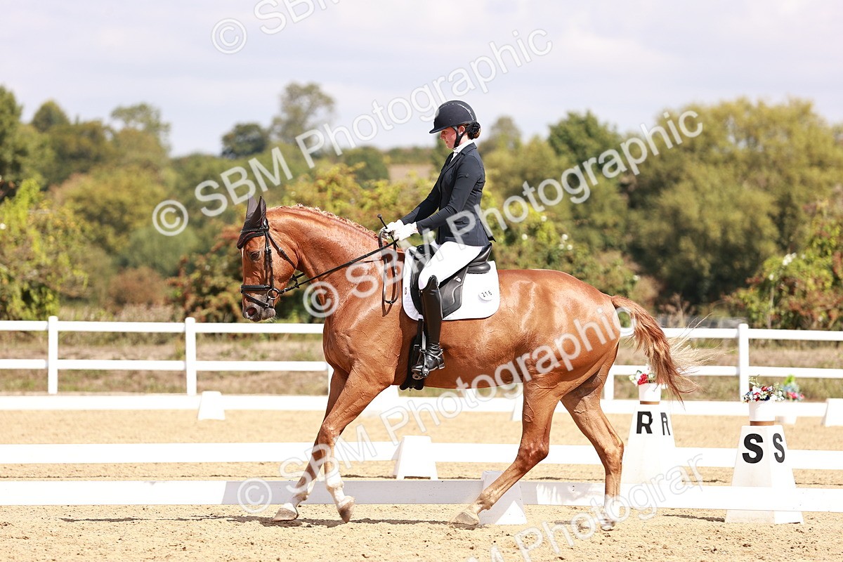 SBM_018479 - Class 17 - Novice 6