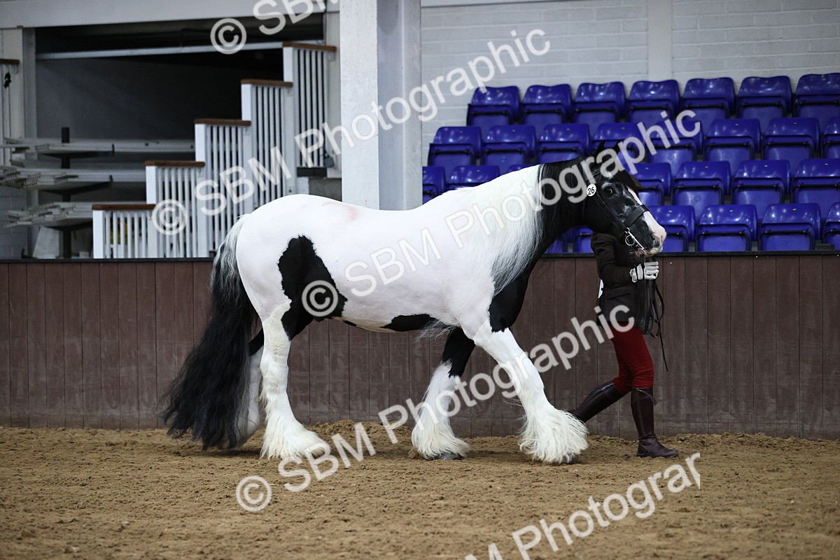 SBM_5605 - Class 40 - RESS In Hand Qualifier