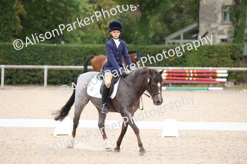 20250819-0885 - Class 2 - Prelim 1