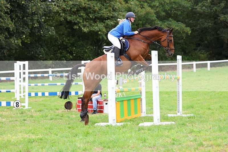 3E7A8400 - Class 8: Senior Foxhunter/1.20m open