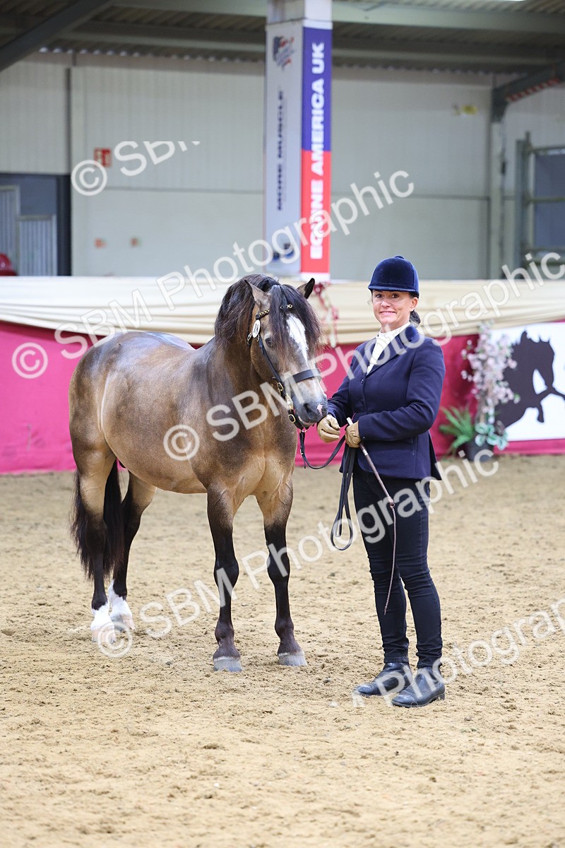 SBM_23225 - Supreme Final - IH Champion