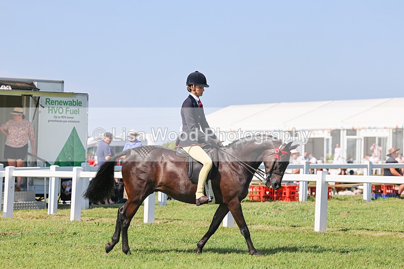 IMG_1886 - Class 33: Show Pony 148cm and under