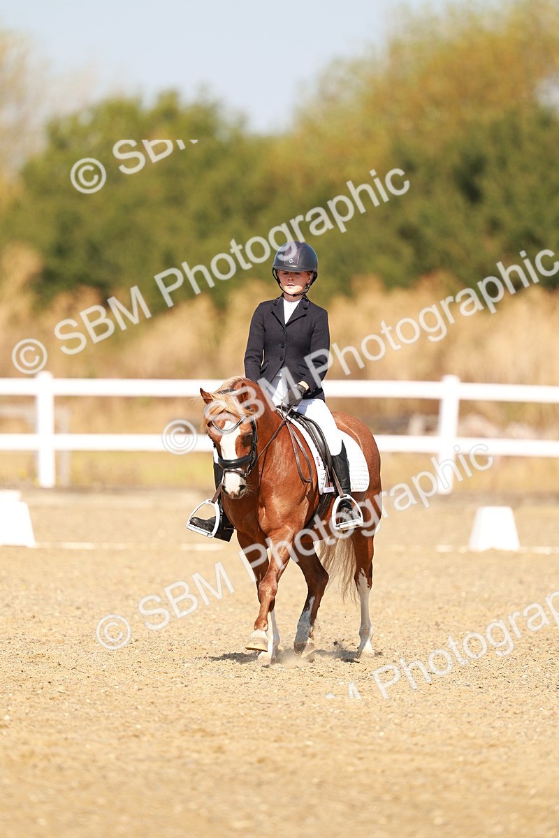 SBM_017594 - Class 9 - N5 Bronze 10.33.11.36