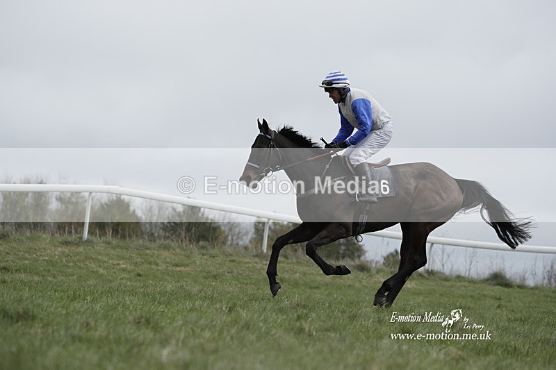 PtP 260323 0677 - New Forest Hounds Point-to-Point Larkhill 26/03/23