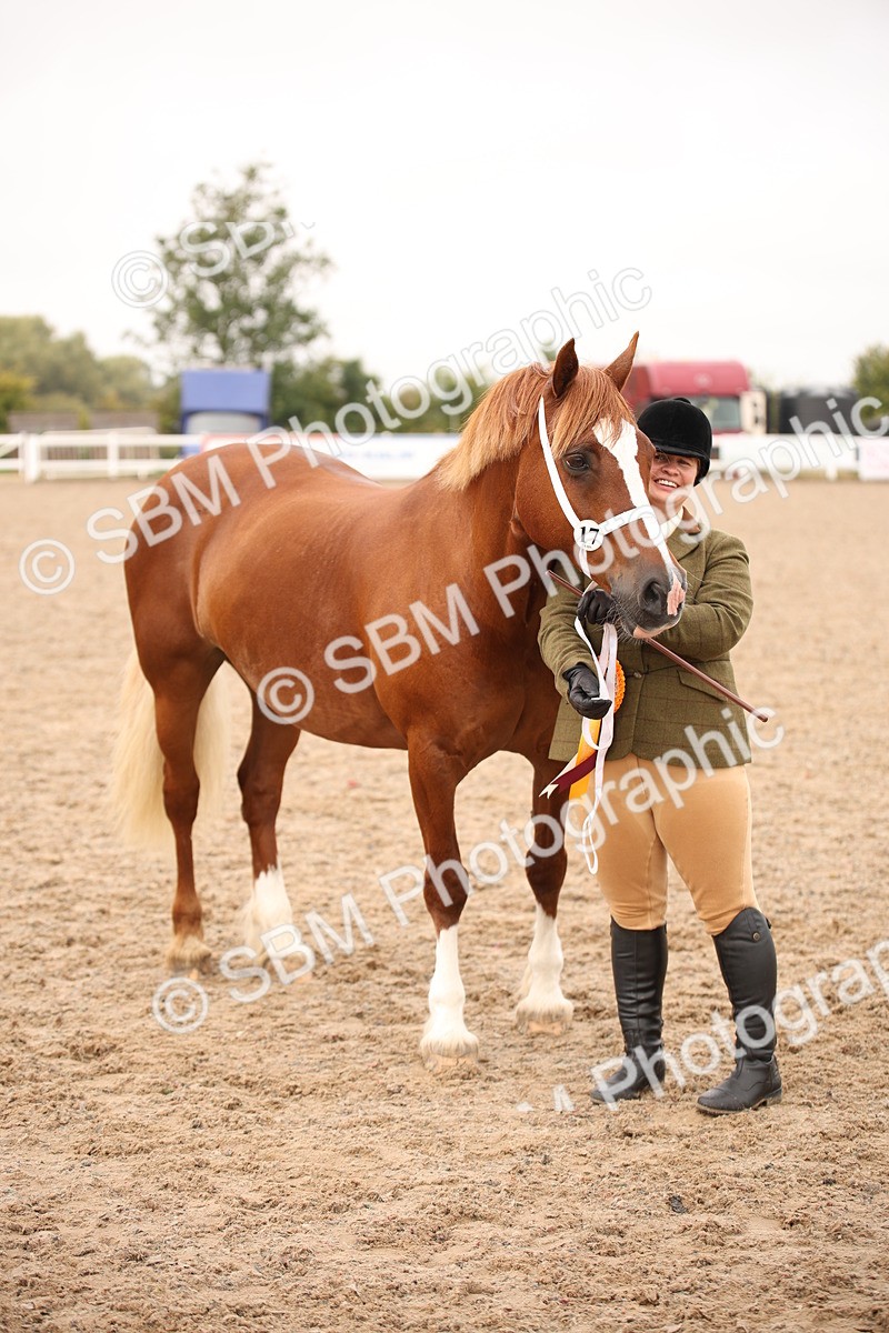 SBM_21531 - Class 706 - IH  Veteran