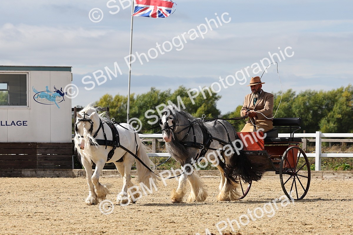 SBM_001232 - Class 16 - Pairs ,Multiples and Tandems
