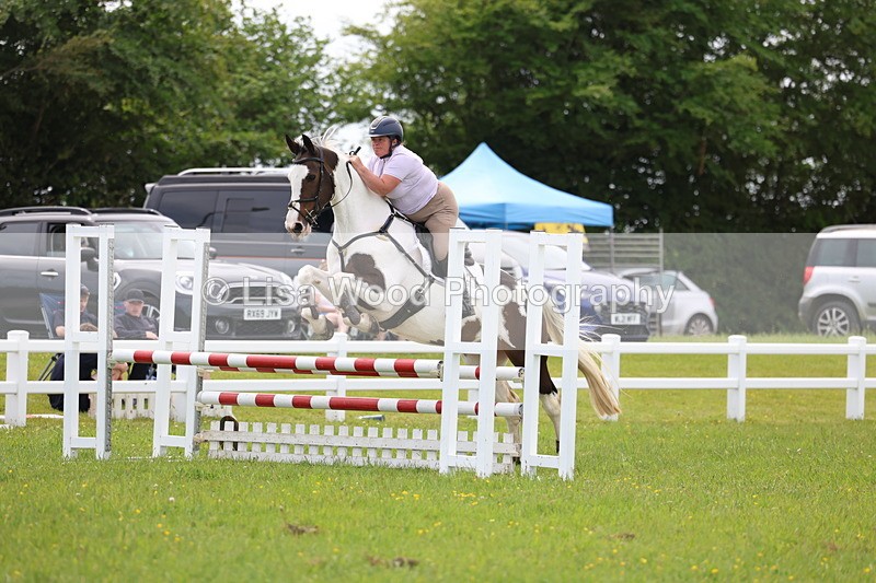 3E7A1689 - Class 13: Senior British Novice/90cm open
