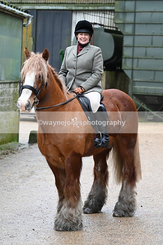 WJ7_8689 - Berks & Bucks - Rowles Farm 15-02-26