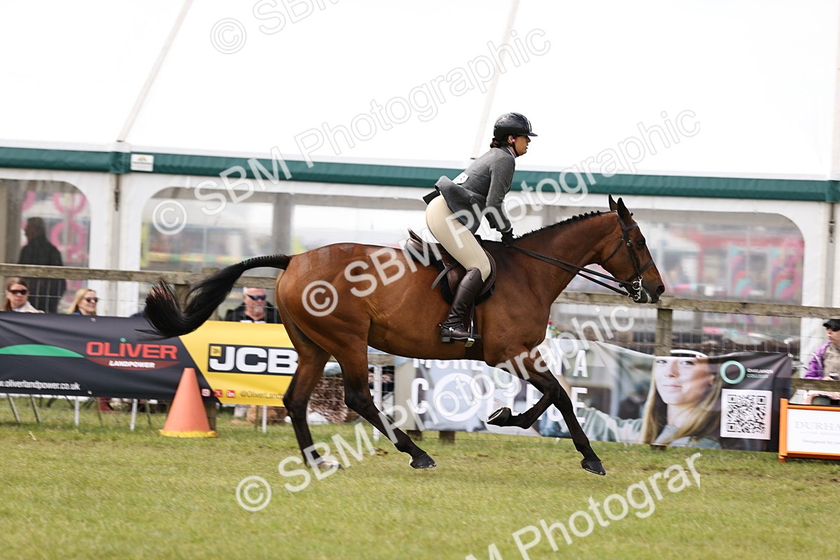 SBM_14690 - Class 88-89 - LIHS BSHA Rising Star of Ridden Hunter Type