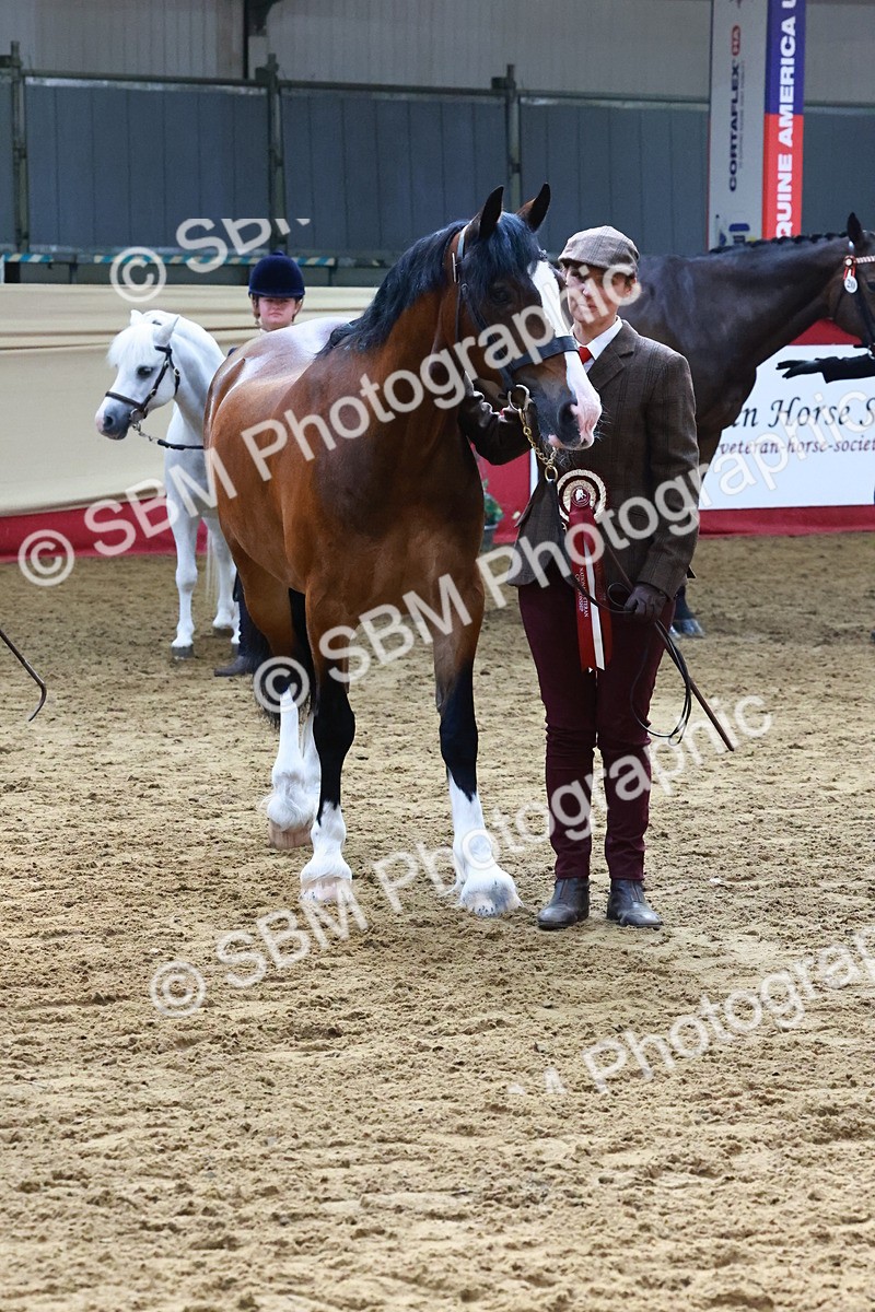 SBM_22419 - Class 902 - Supreme Final - IH Diamond