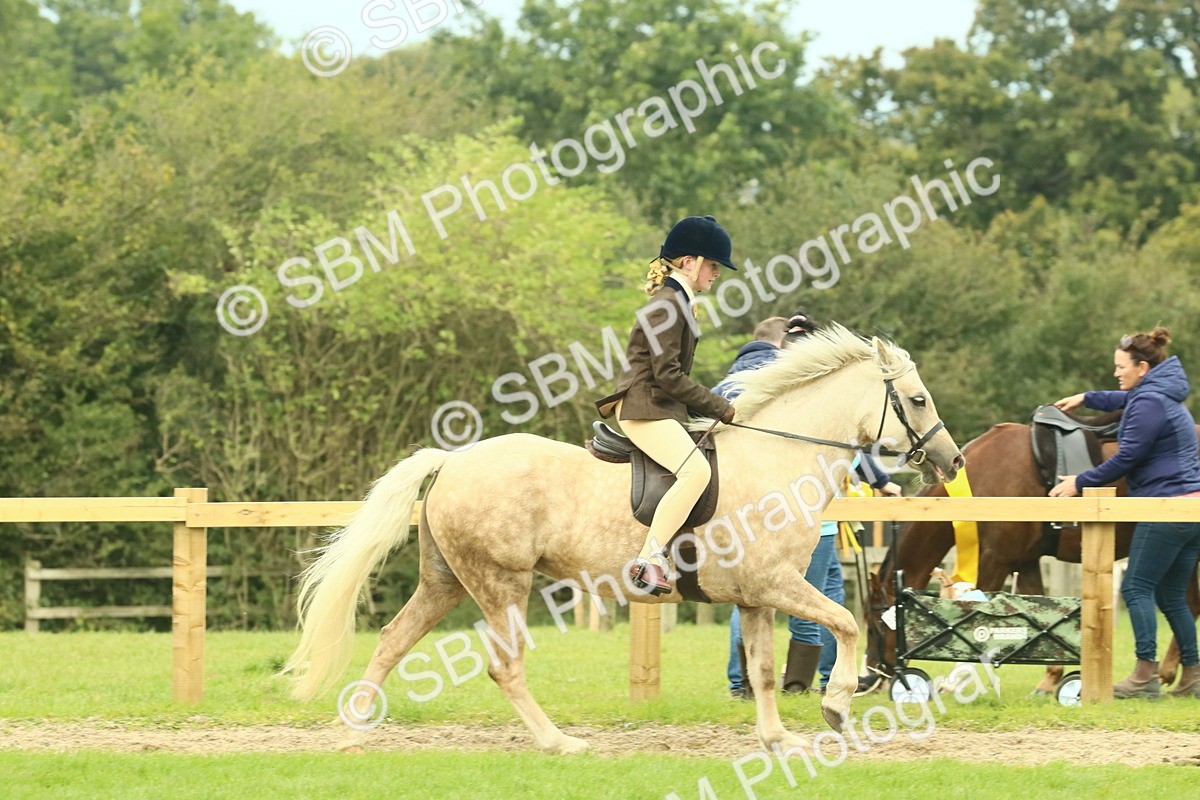SBM_71912 - S60 - Mountain & Moorland Ridden Large Breeds