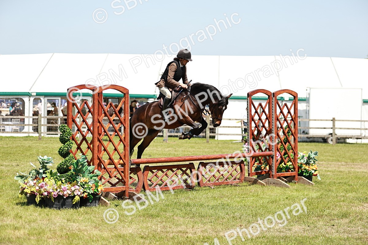 SBM_16380 - Class 110-111 - Training Stakes (70cms 80cms)