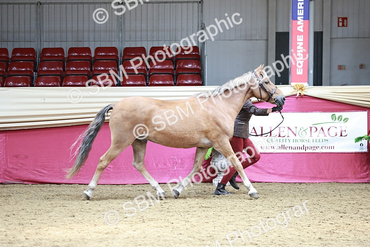 SBM_04666 - Class 7R - Regional IH Diamond