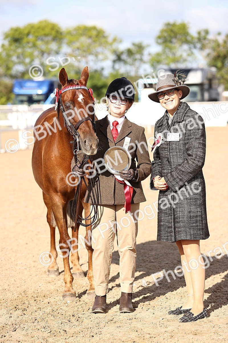 SBM_08538 - Class 402 - IH Veteran Pony