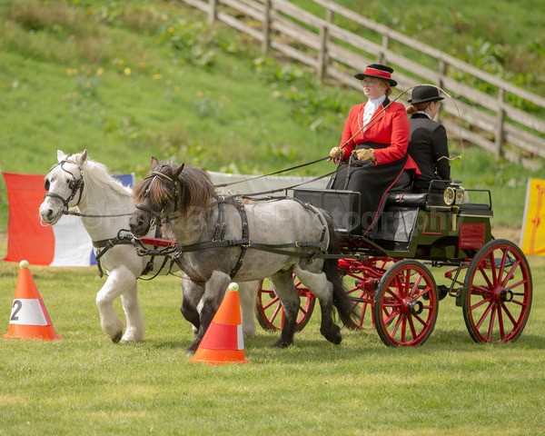 Attelage -948 - CIAT Glamis 2026