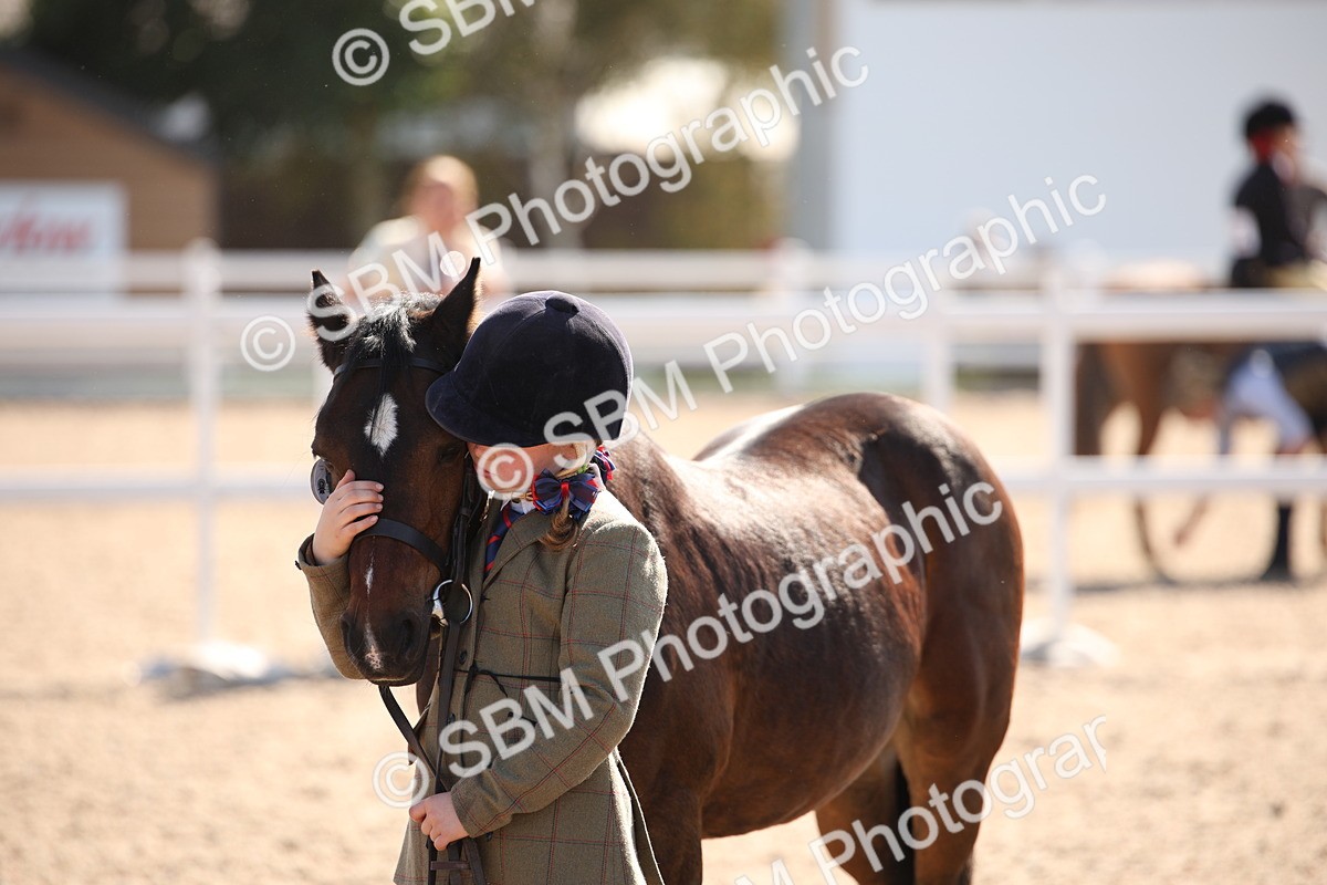 SBM_02795 - Class 16 IH M&M Wildcard