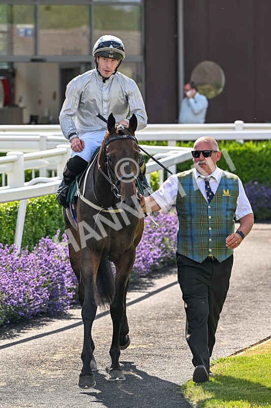 080726-Race 6-Velvet Rhythm-7835 - Race 6 16.30pm Racing Again 15th July Fillies' Handicap