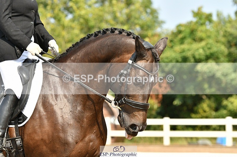 250817-112145-08550 - 213-mrs.nicola.m.NichollsSir.Sherman.Astwood