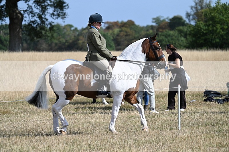 WJ7_2682 - Class 8 Ridden Tack & Turnout