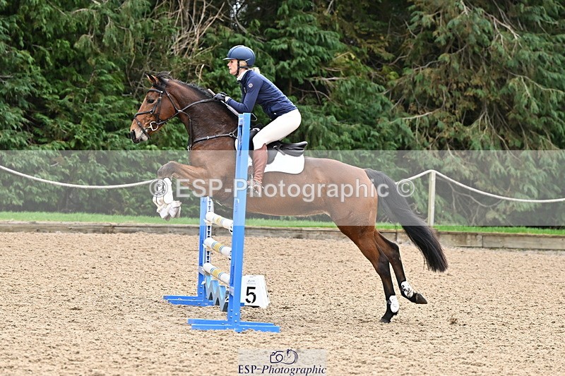 250201A-112527-00408 - Cls 02 Local Horse 100cm