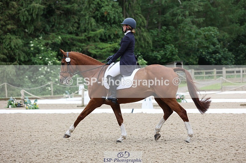 240524-090135-07037 - 251-MILESTONE_GOLD-Gaby_Bull