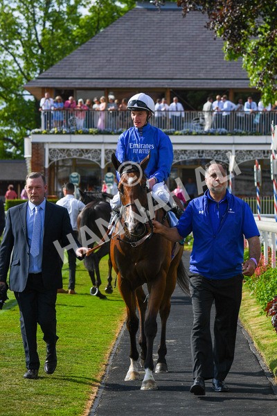 270523-Race 7-Shining Blue-1034 - Race 7 5.00pm Reg Bond Always And Forever Handicap
